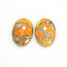 bumblebee jasper