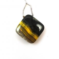 bumblebee jasper