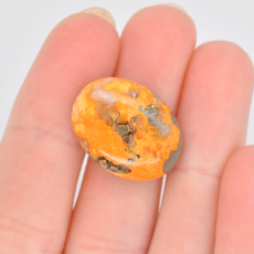 Bumble Bee Jasper Cab Oval 20x15mm Single Piece Approximately 13 Carat