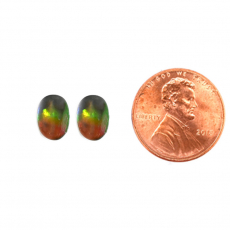 Fossilized Ammolite Cab Oval 6x4mm Matching Pair Approximately 0.83 Crat