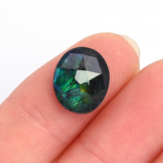 Fossilized Ammolite Oval 12x10mm Single Piece 3.50 Carat