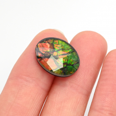 Fossilized Ammolite Oval 16x12mm Single Piece 6.01 Carat