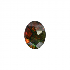 Fossilized Ammolite Oval 16x12mm Single Piece 6.01 Carat