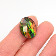 Fossilized Ammolite Oval 17.69x13mm Single Piece 6.63 Carat