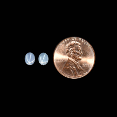 Star Sapphire Cab Oval 5.5x4.5mm Matching Pair 1.59 Carat