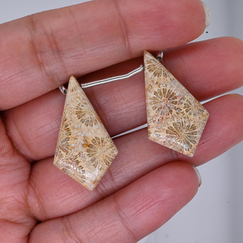 Fossil Coral Drop Diamond Shape 30x16 Drilled Bead Matching Pair